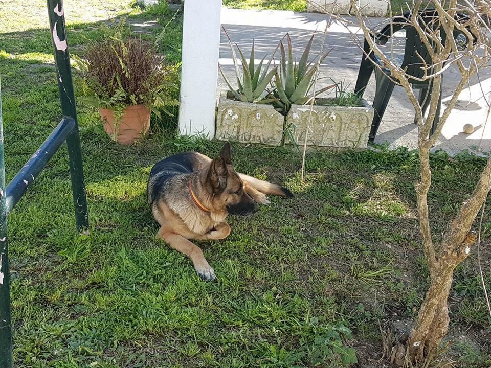 Holiday home La Chanca Rural Chiclana de la Frontera