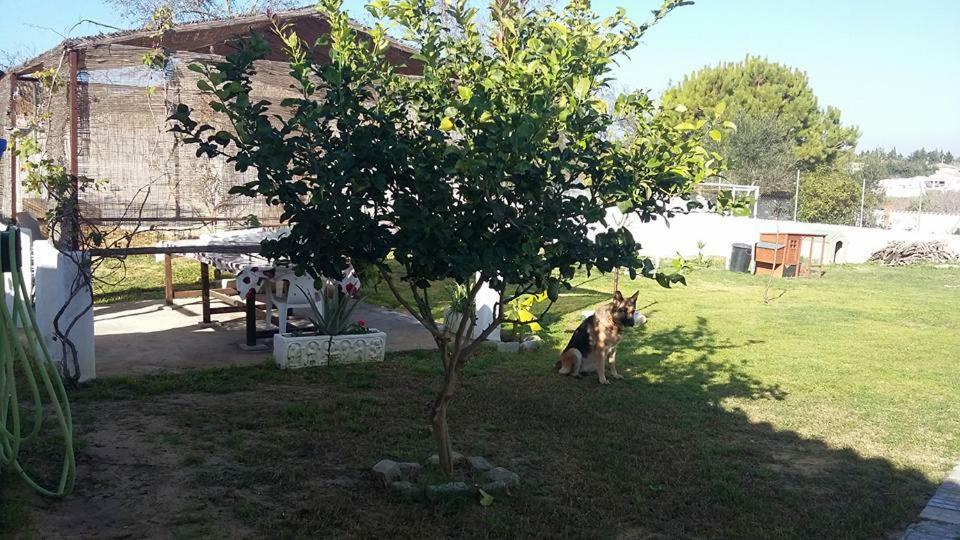La Chanca Rural Dom wakacyjny