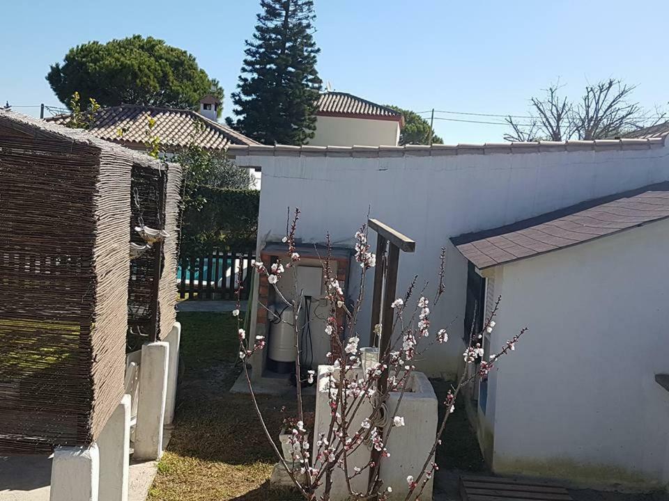 La Chanca Rural Holiday home Chiclana de la Frontera